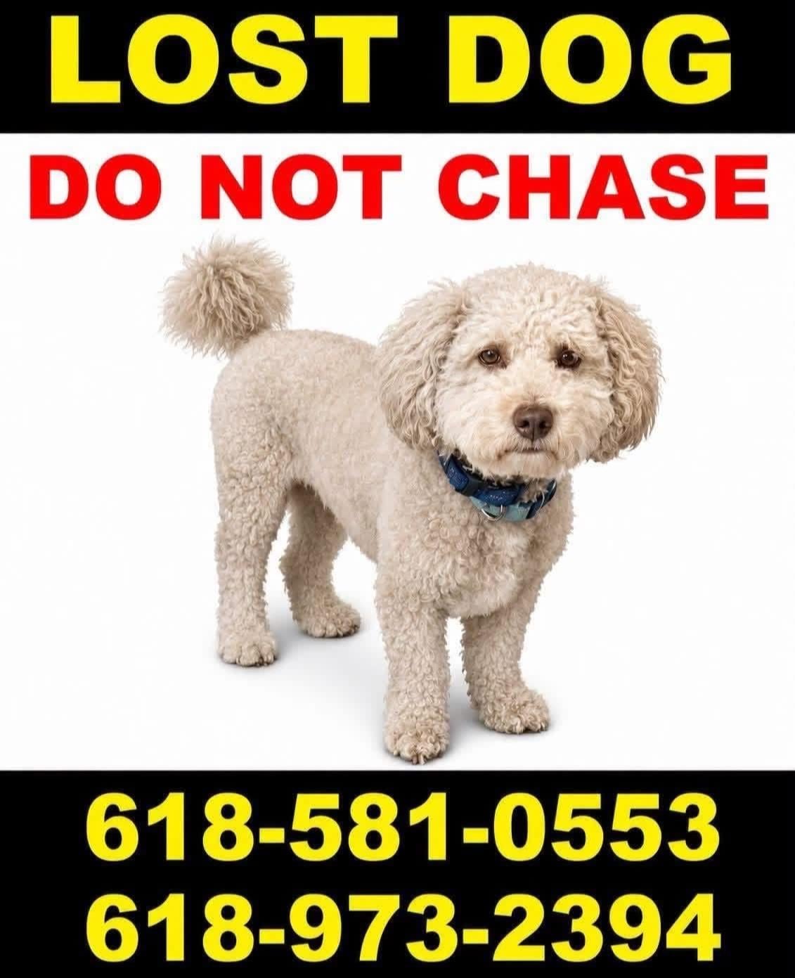 Classifieds