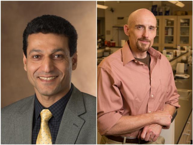 Kamran Shavezipur, assistant professor in the SIUE Department of Mechanical and Industrial Engineering, and Ken Witt, professor of pharmaceutical sciences in the SIUE School of Pharmacy.