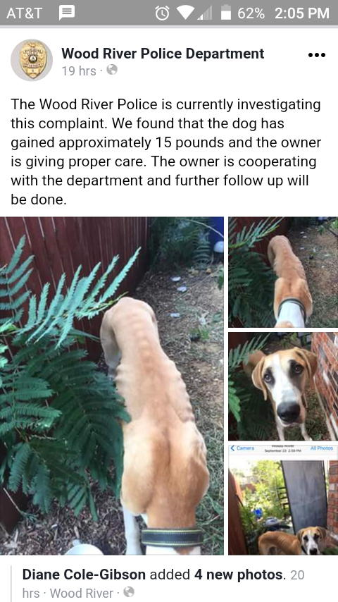 This is a screenshot of the posting shared by the Wood River Police Department. Both the original poster and the police department agreed the dog has since gained weight. These photos were taken in late September.