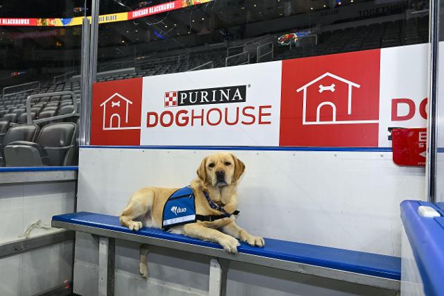 Rebranded penalty box will be temporary home of penalized opponents, with each away team penalty triggering donation to facilitate training for support dogs across St. Louis.