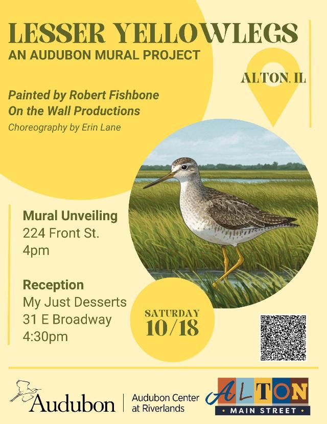 Lesser Yellowlegs Mural Unveiling event flyer