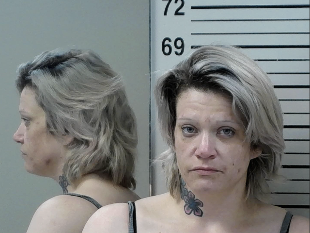 Chelsea N. Stout.
