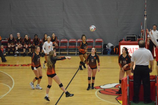 The Tigers' Kate Martin (returning volley) has been a key contributor for the volleyball team all season. (Photo by Brent Feeney)