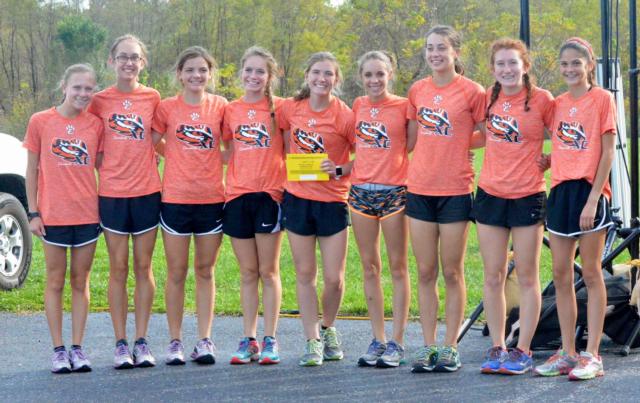 Edwardsville's post-season girls cross country state qualifying team.
