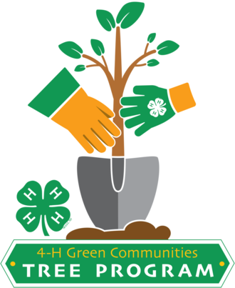 In the spring of 2022, 4-H youth in 31 Illinois counties will each plant a grouping of 25 oak trees on public properties in their county.