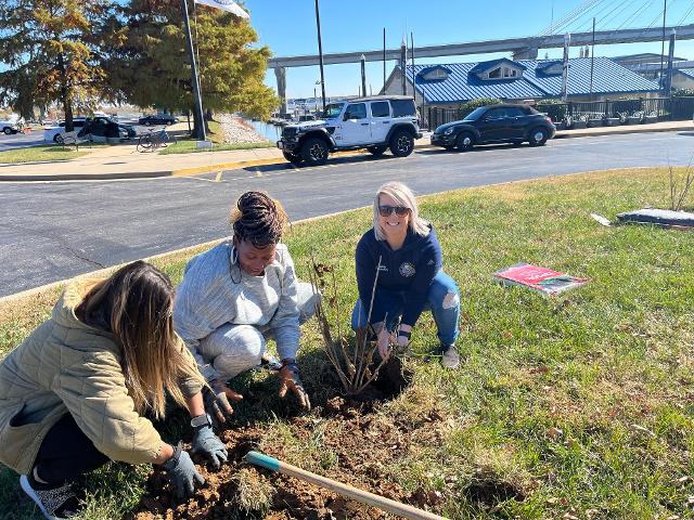 The City of Alton and Environmental Organizations’ Fall Tree Planting ...
