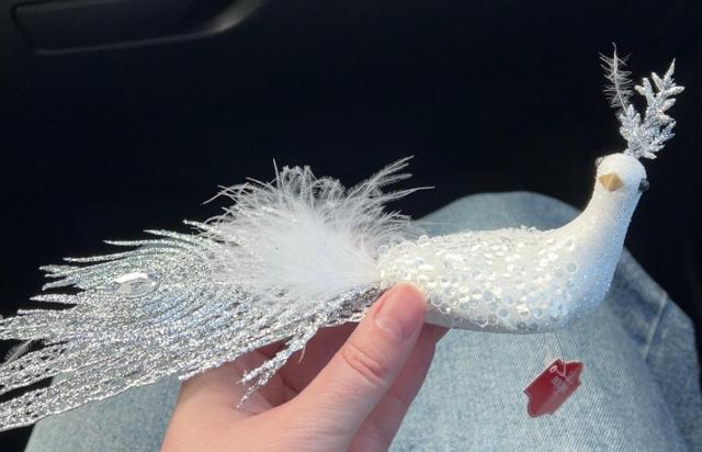 I love my little silly gaudy peacock bird decoration thing.