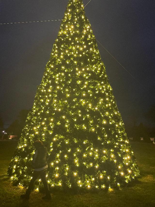 Last year's Christmas tree at the Circle