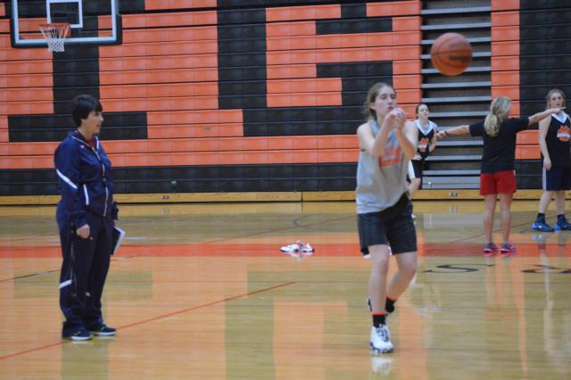 Lori Blade, who has won more games than almost any other female coach in Illinois, is at the helm to direct the Tigers again this season. 