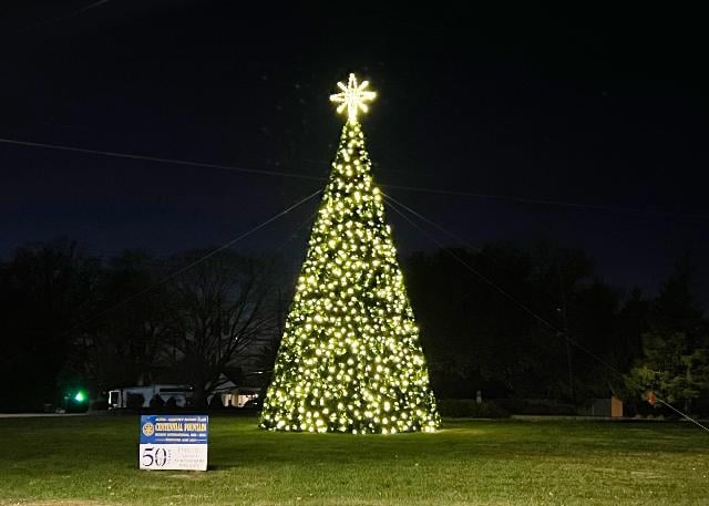 College/Central Christmas Tree In State House Circle In Alton Brightens Holiday Spirit