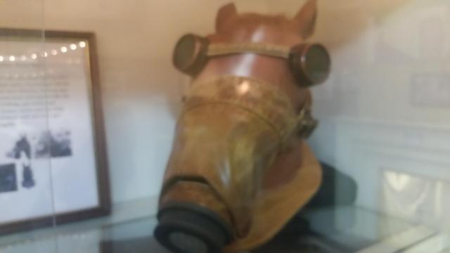 A World War I gas mask used for horses