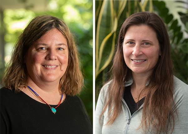 The Graduate School At SIUE Announces Two Distinguished Research Professor Awards