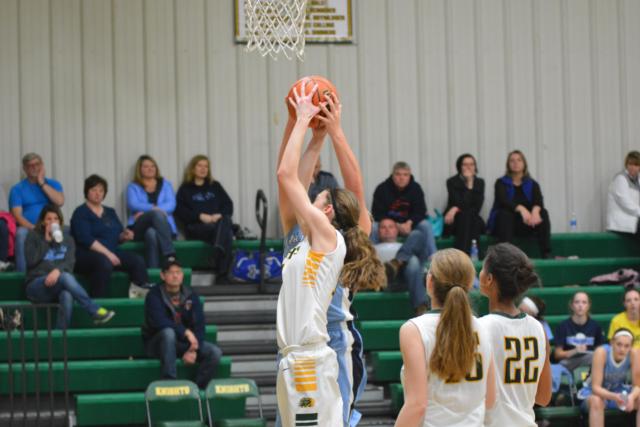 Metro East Lutheran and Breese Mater Dei battled on the boards all night long on Tuesday night. (Photo by Dan Brannan)