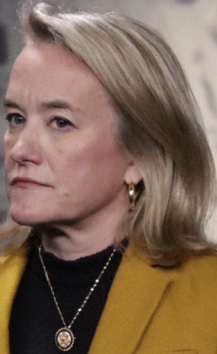 Rep. Nikki Budzinski.