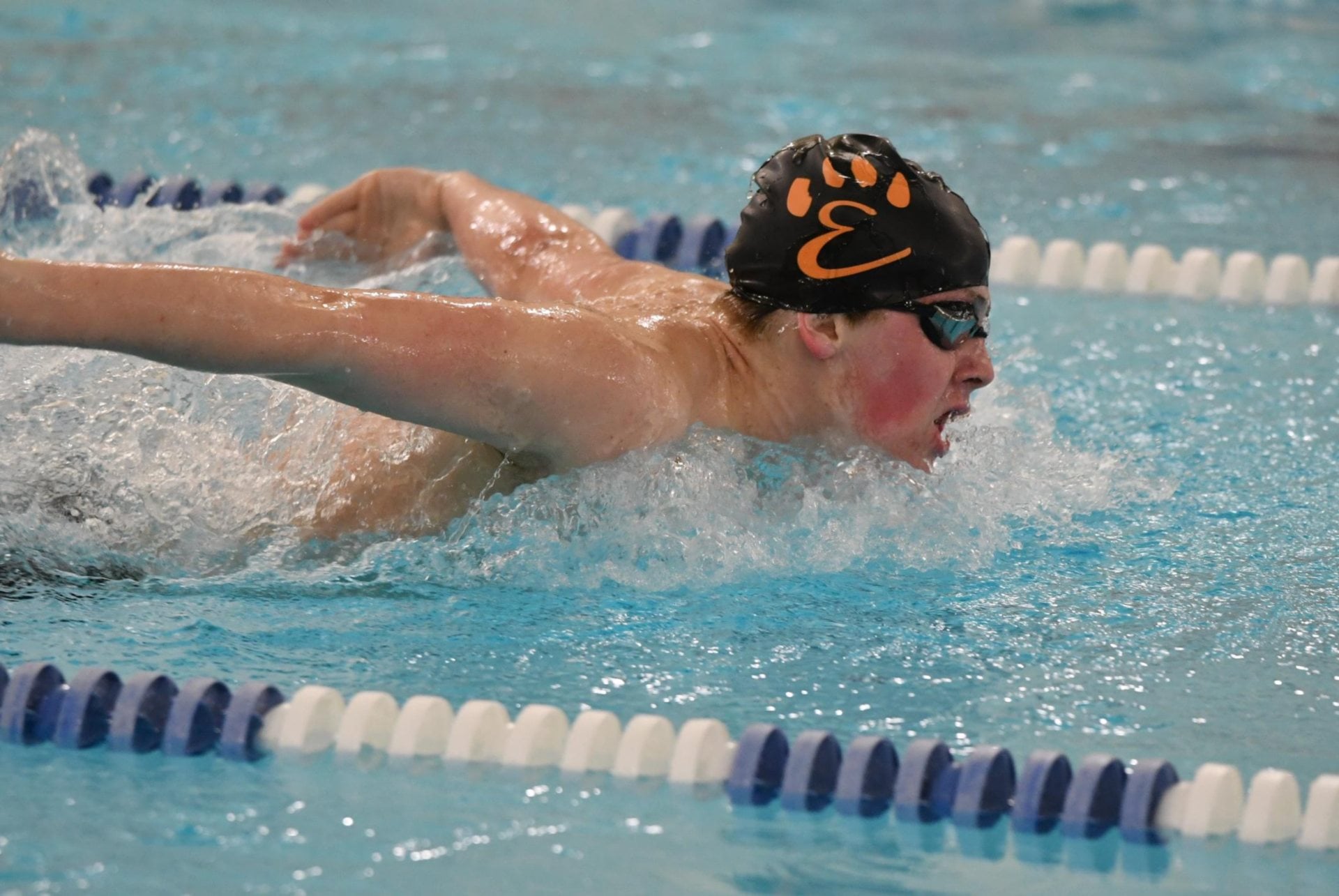 Edwardsville IL News Riverbender com