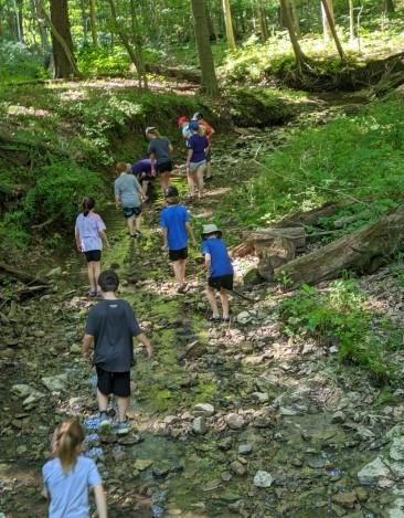 Children hike the trails, play in the creek, and search for native plants and animals. 