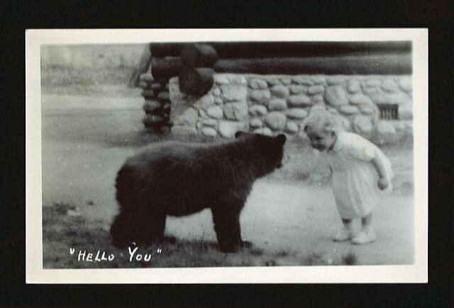 &ldquo;Hello You,&rdquo; Weiss, J.A, 1945. University of Alberta Library Prairie Postcard Collection