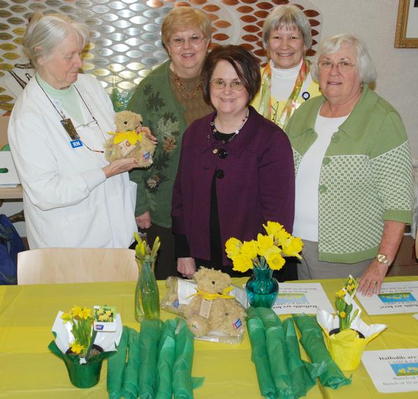 Daffodil Sales Help in Fight Against Cancer at AMH