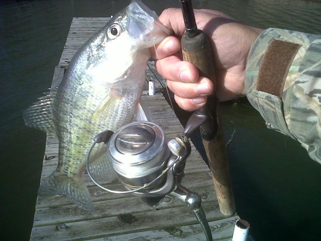 Lee Keck photo. Many anglers are now reporting catches of quality crappie beginning to improve.