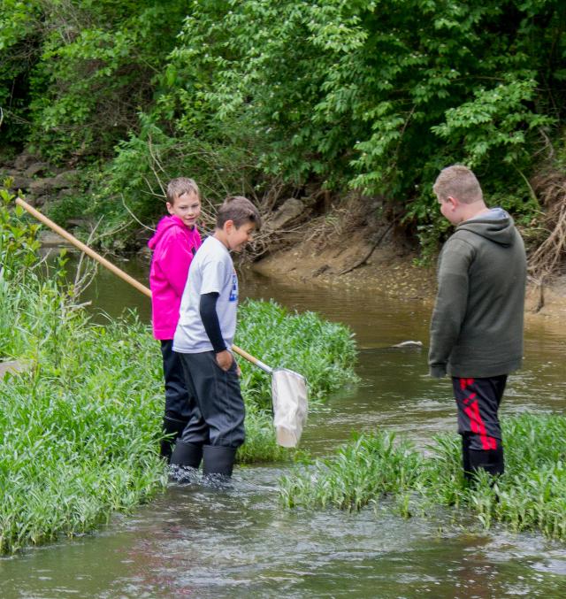 Students from Carlinville are catching macroinvertebrates at a local stream. File Photo: NGRREC