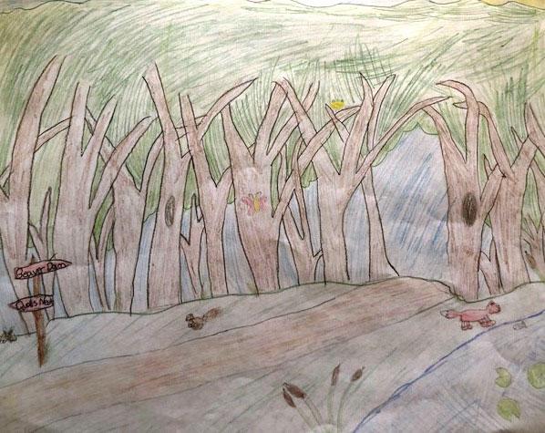 1st - Anna Cloninger, homeschooler from Plainview in 4th grade, “Beaver Dam”