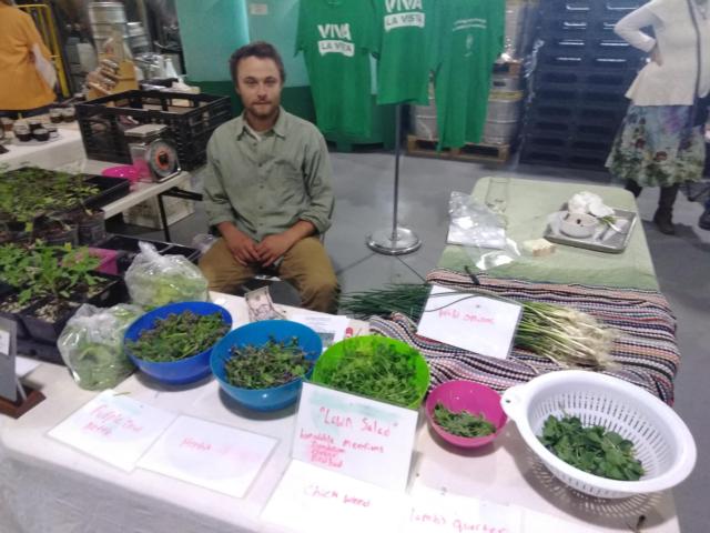 Phil Beile with a selection of salad greens one can find in their front yard