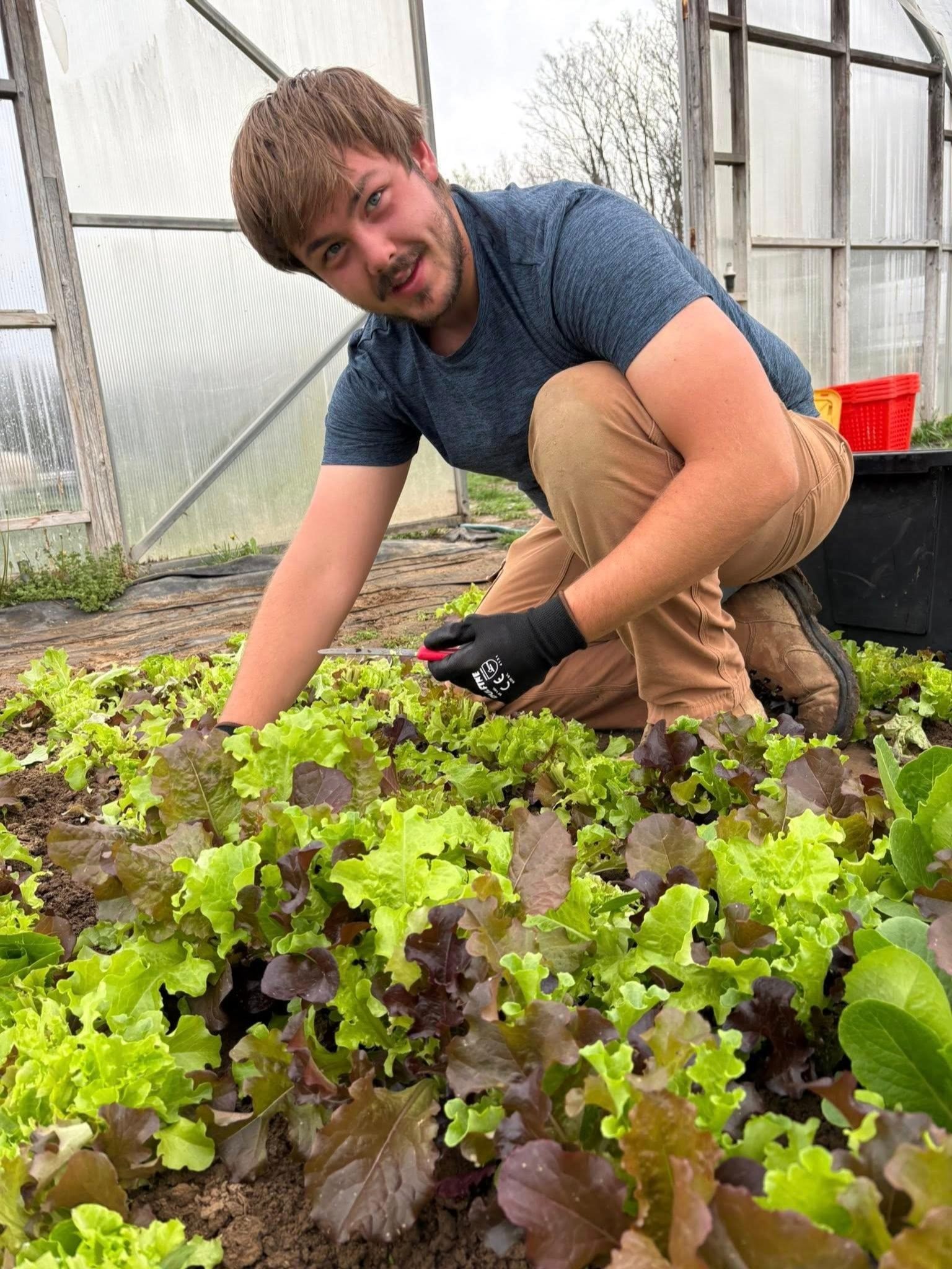 Photos courtesy of 3 Rivers Farm of Elsah on Facebook.