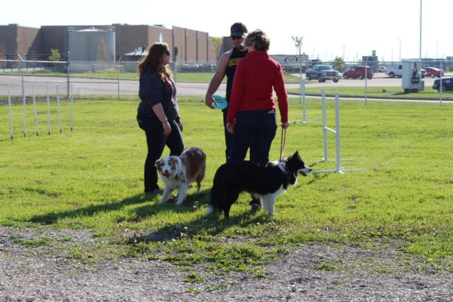 Some puppies and their owners mingle at the new dog park.