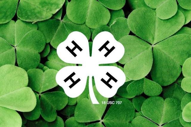 The ceremony celebrated career achievements of 4-H members, and the Illinois 4-H Foundation awarded $45,000 in scholarships as part of the celebration.