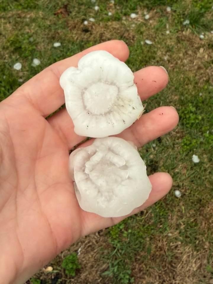 Hail photo by Becky Wille in Alton.