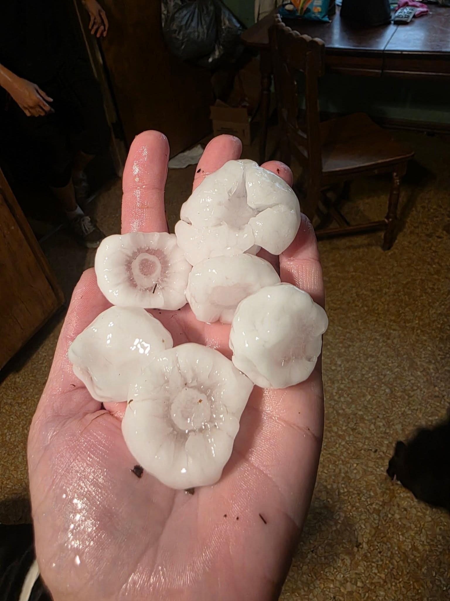 Hail photo by Beth Stevenson in Alton.