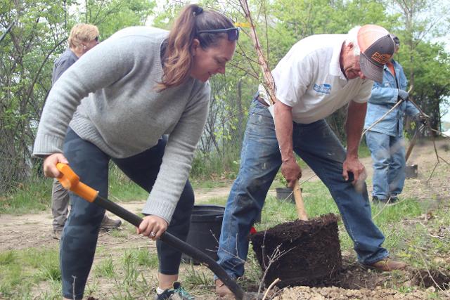 Jen Mandeville and volunteers helped to plant a river birch tree as part of the Piasa Park planting event on April 28. Photo by Jen Young, NGRREC/L&C Marketing & PR