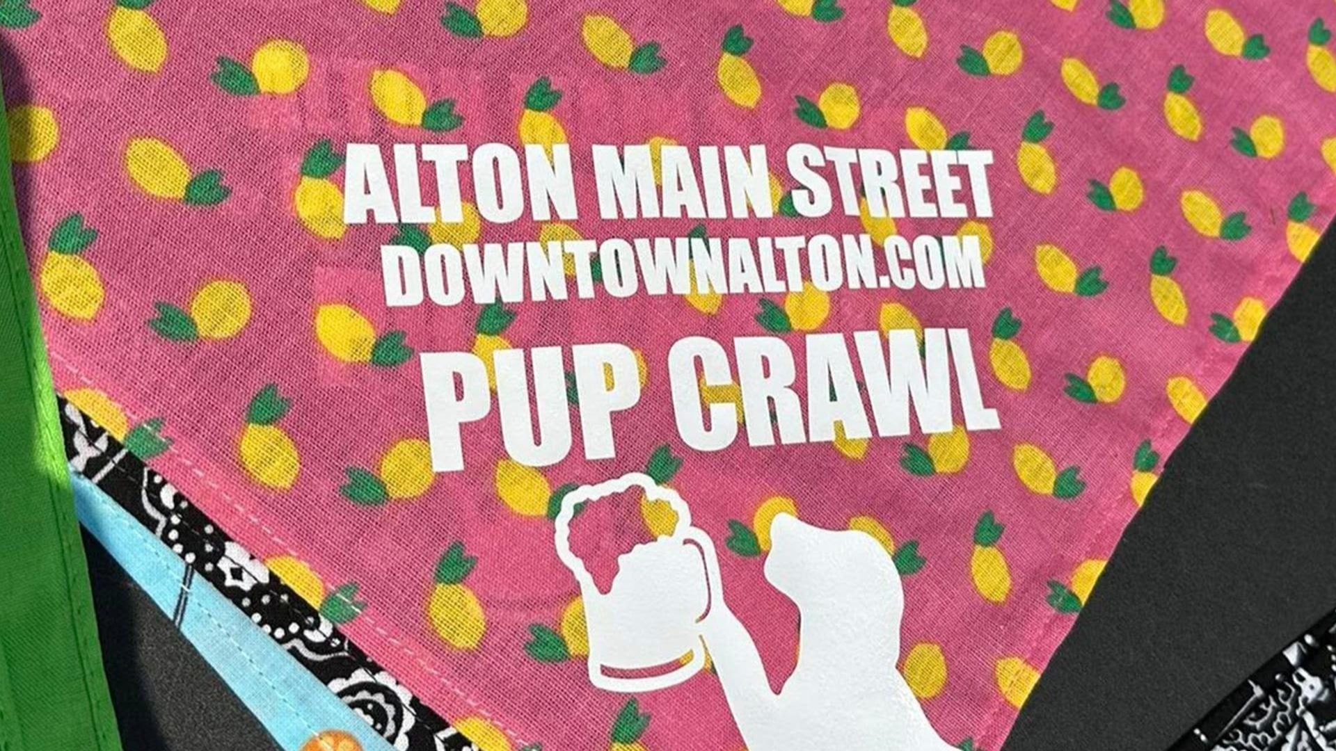Pup Crawl (that’s a Pub Crawl + Dogs!)