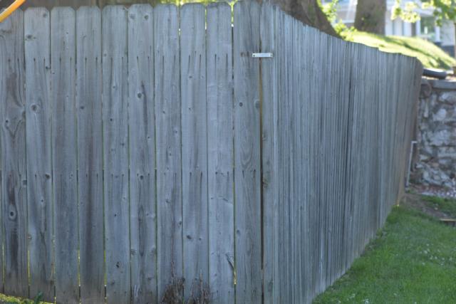 The fence area close to where the apparent shooting took place Sunday morning. (Photo by Dan Brannan)