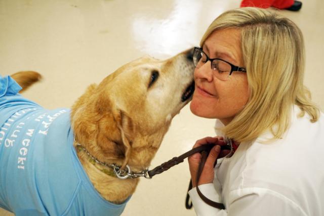Joba, a 10-year-old Lab owned by Alton Memorial Hospital staff member Amy Schuler, gives AMH dietitian Karen Arensmann a smooch on Tuesday. Volunteers from Pound Pets of Granite City brought about 15 cats for employees to visit and help reduce their stress as part of National Hospital Week. Joba was the only dog present, but got along with his feline friends quite well -- not to mention Karen!
