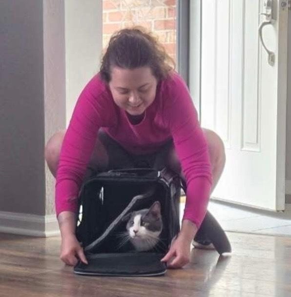 Releasing the cat into the house. Chaos followed.
