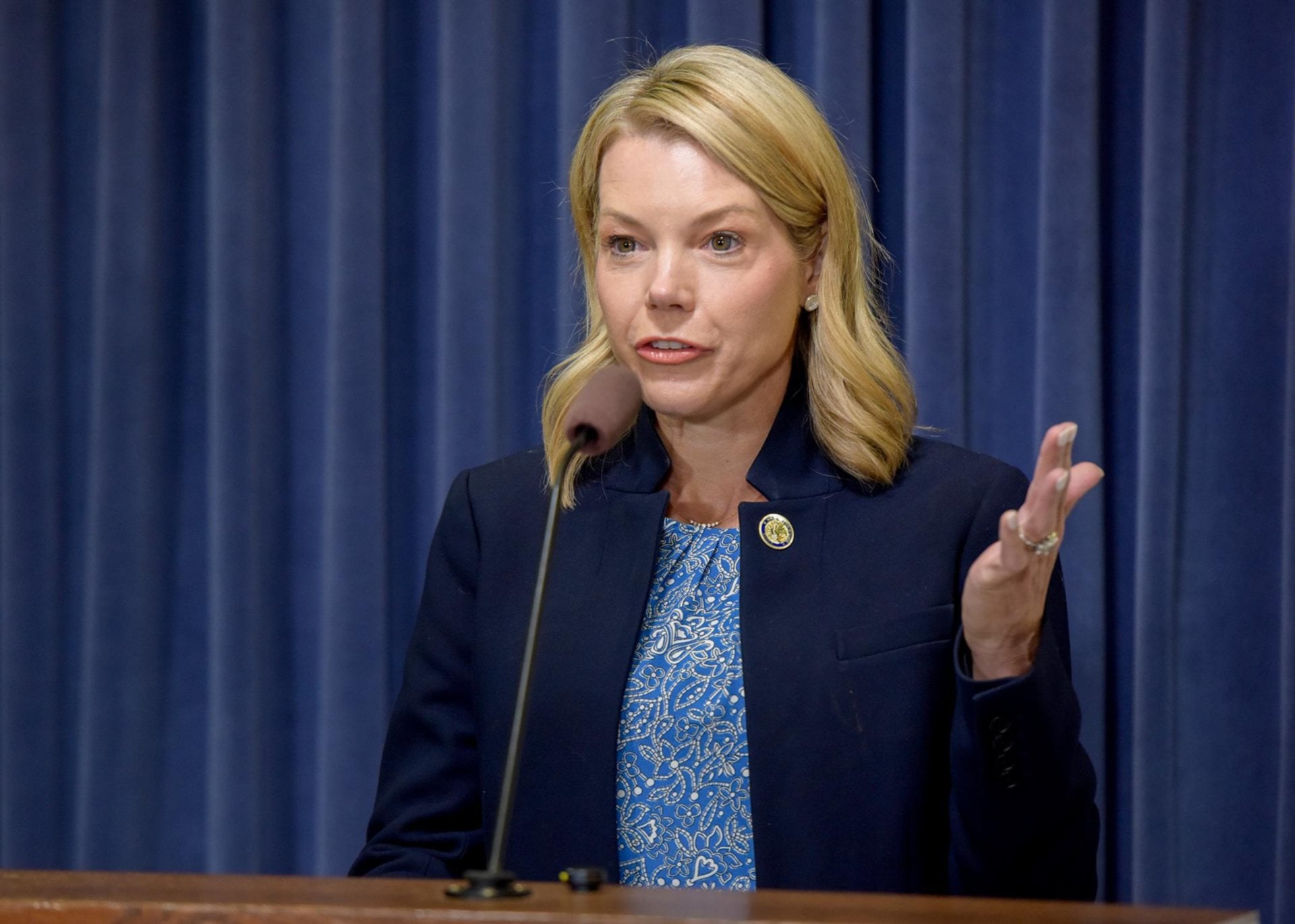 Metro East Lawmakers Send Five Bipartisan Bills to the Governor  