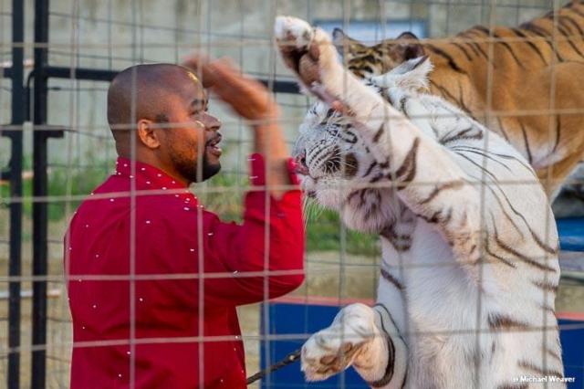 The Ainad Shrine Circus delighted spectators this week in Jersey County. (Photos courtesy of Michael Weaver)