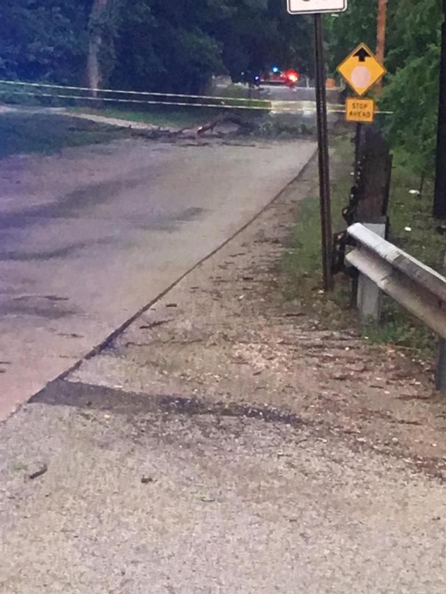 A tree fell across the road in Alton on Monday during the storm. (Photo by Chris Rhodes)