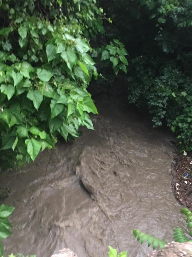Riverbender.com's Chris Rhodes was on the scene near Rock Springs in Alton after the storm Monday. 