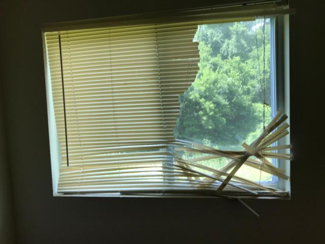 These blinds were completely destroyed in an empty apartment.