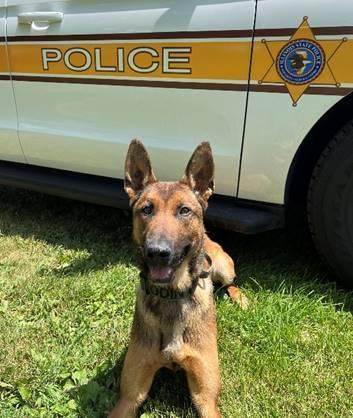 Illinois State Police K-9 Gets Body Armor