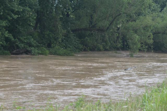 Wood River Creek was filled to capacity on Wednesday morning. (Photo by Dan Brannan)