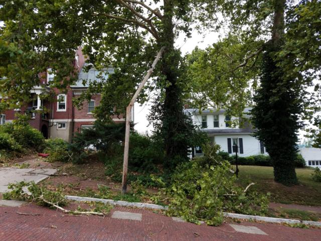 Some wind damage on Summit Street in Alton. (Photo by Pat Schwarte)