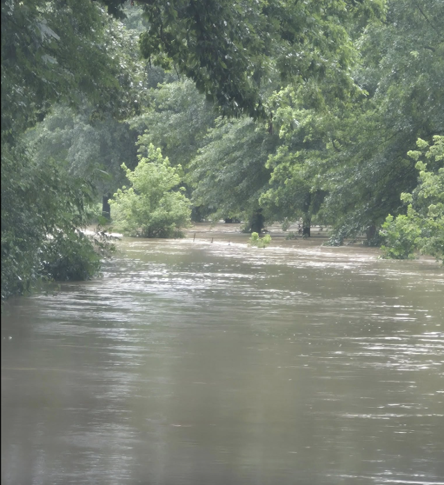 Flooding on Pump Station Road in Jersey County. Photo by Jennifer Edwards.