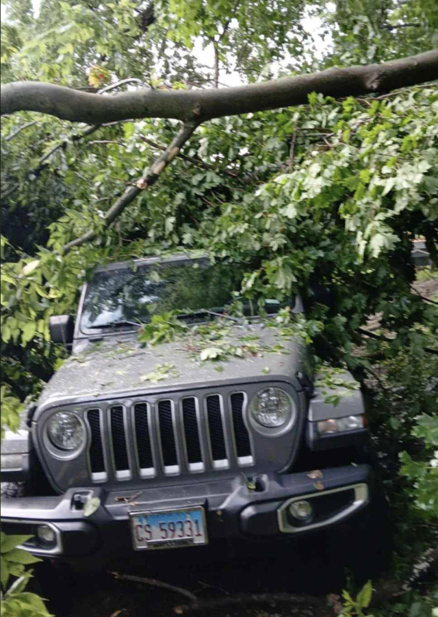 A Jeep after the story covered with tree limbs in Kampsville (Photo by James Palmer).