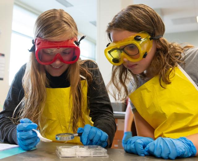 (L-R) Kate Piche and Cate Dorsey, both of Edwardsville, test mystery powders during Odyssey Science Camp.