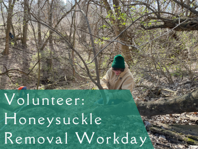 Volunteer: Honeysuckle Removal Workday event flyer