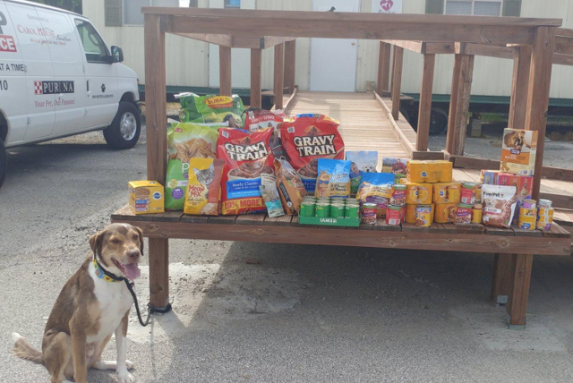 Slim Shady, owned by Dana Wynn of Alton, poses with donations from a previous pet food drive hosted by Trinity’s Way.