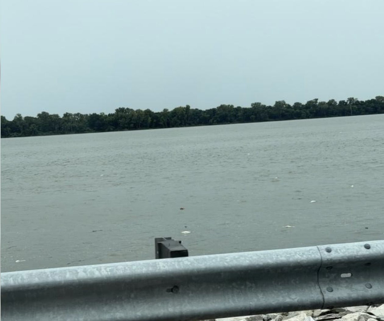 Dead carp have been noticed along the Great River Road just outside Alton and near the Melvin Price Lock and Dam recently. (Photo by Caleb Hall)
